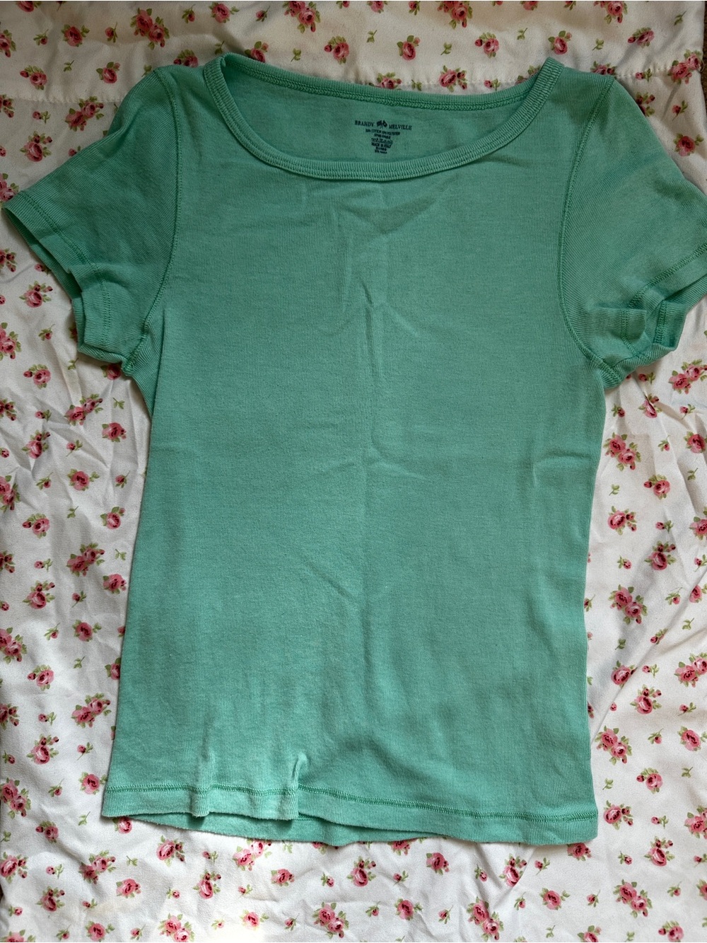 Brandy Melville Mint Green Short Sleeve Scoop Neck Tee